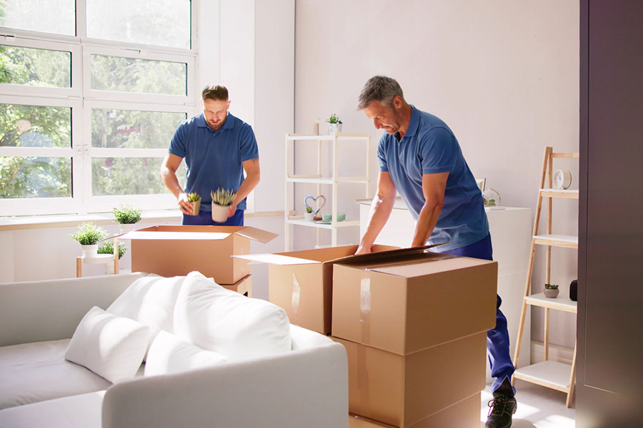 Two professional movers packing boxes in a bright, modern living room